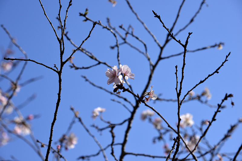 image0231