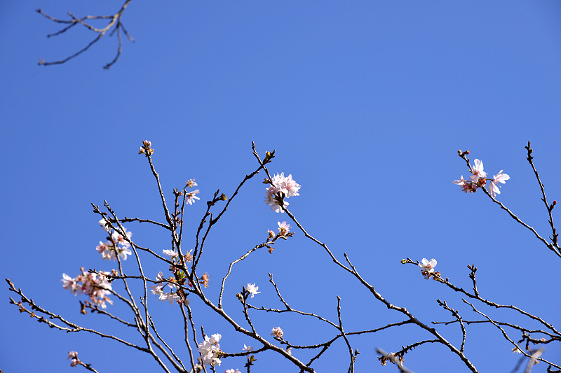 image0232
