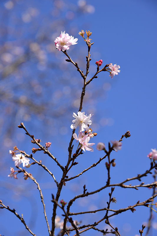 image0233