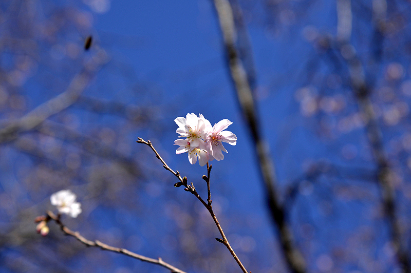 image0234