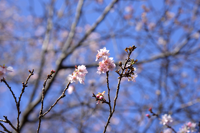image0240