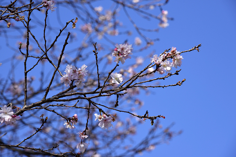 image0241