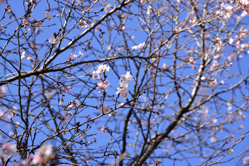 image0242