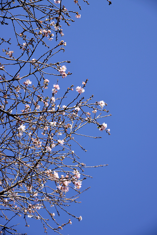 image0243