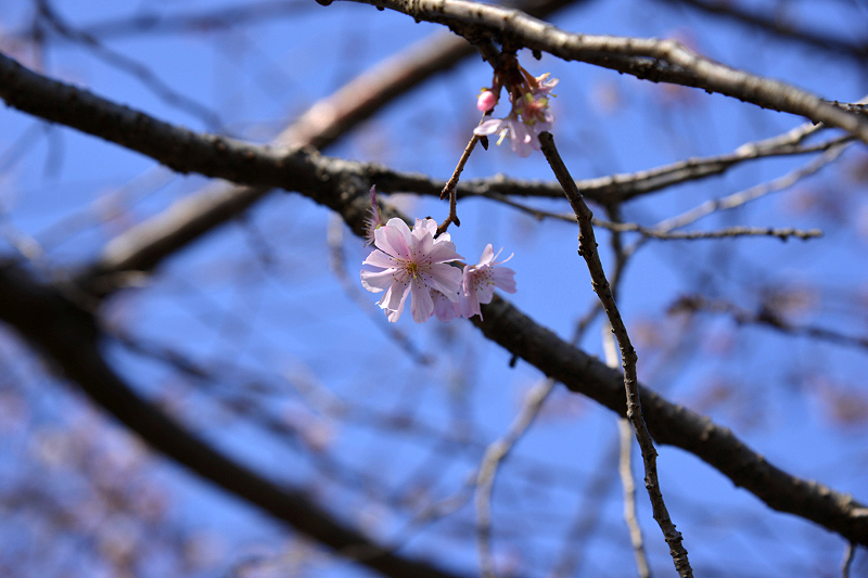 image0244