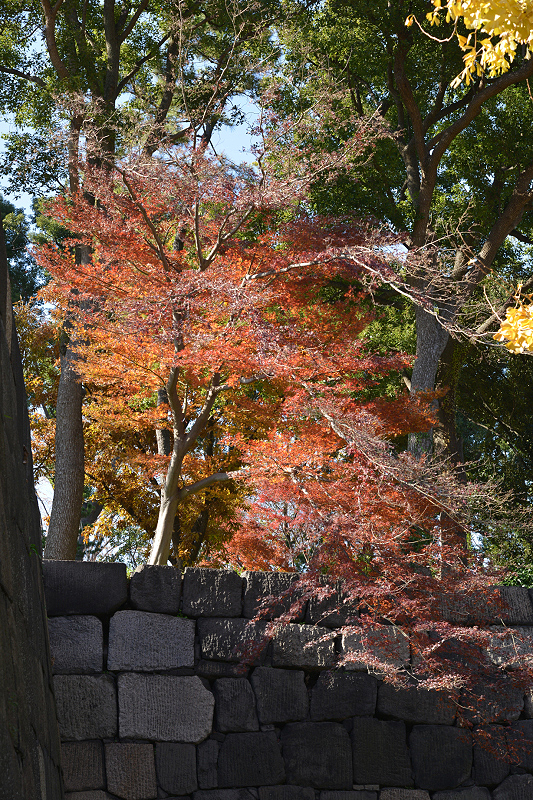 image0247