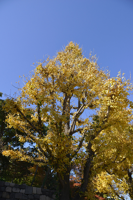 image0248