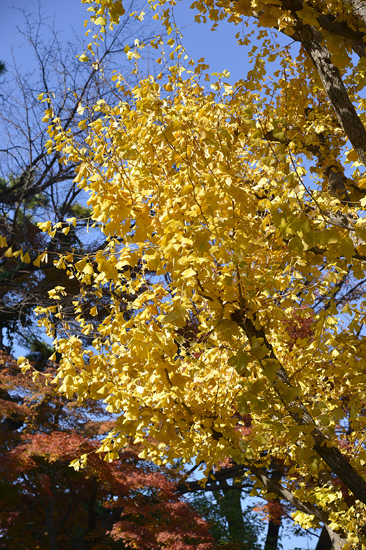 image0249