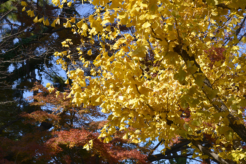 image0250