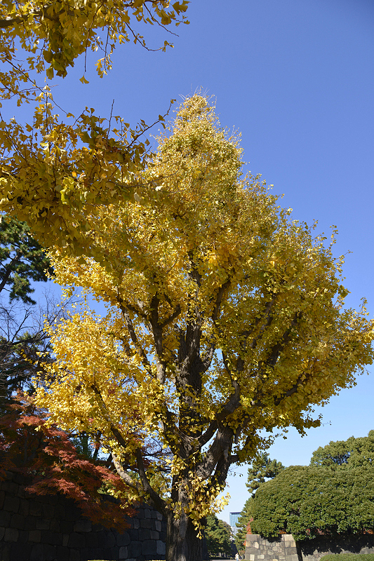 image0251