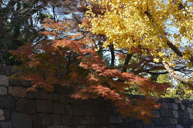 image0252
