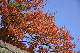 image0099