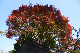 image0101