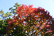 image0102