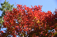 image0103