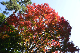 image0104