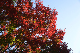 image0109