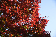 image0110
