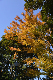 image0112