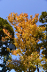 image0114