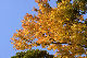 image0115