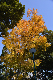 image0116