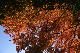 image0117