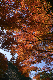 image0118