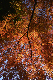 image0119