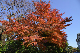 image0123