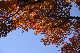 image0129