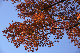 image0130