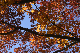 image0131