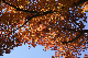 image0132