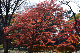 image0134