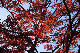 image0138