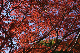 image0139