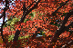 image0140