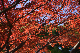 image0141