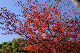 image0143