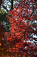 image0144