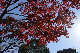 image0149