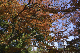 image0163