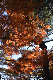 image0167