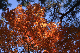 image0171