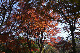 image0173