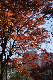 image0176
