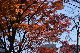 image0177