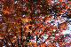image0178