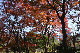 image0179